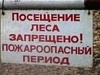 Весна. Пожароопасный сезон открыт